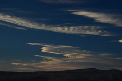 DSC_0306 (Large).JPG